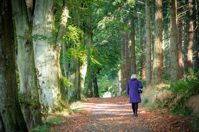 Prestovalion registrace